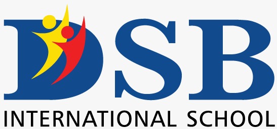 DSB International